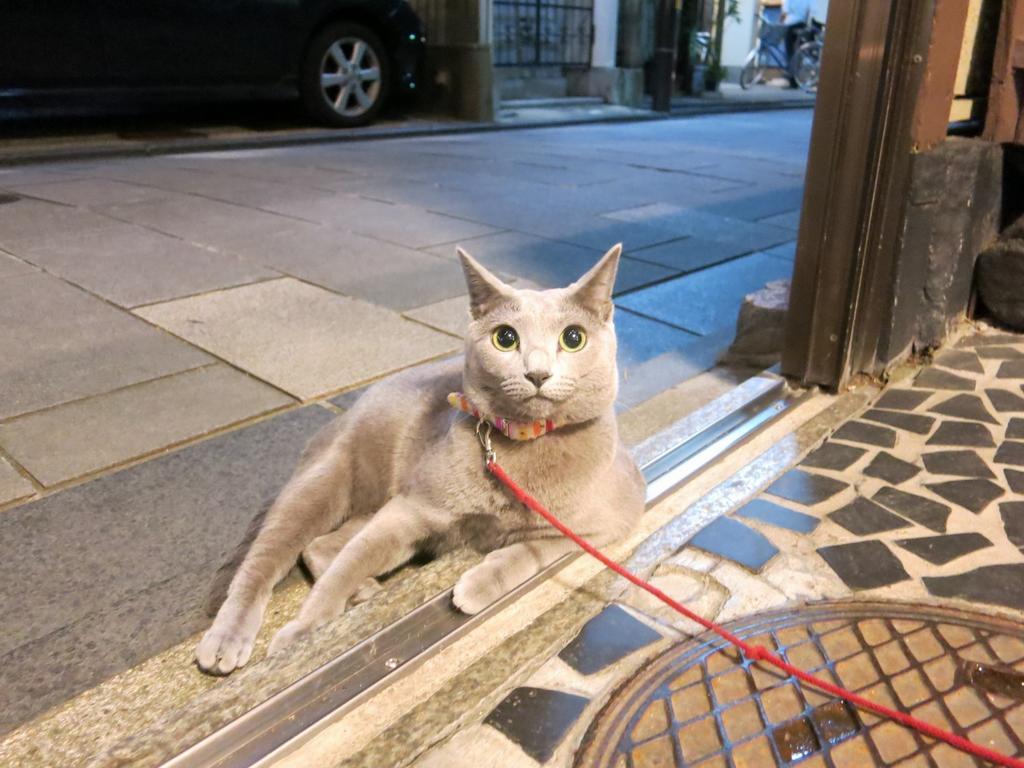 藤家旅館 京都市 エクステリア 写真
